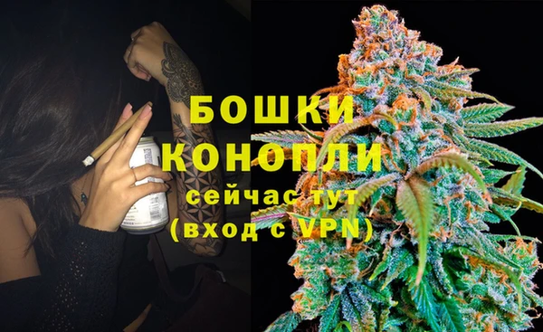 стаф Богданович