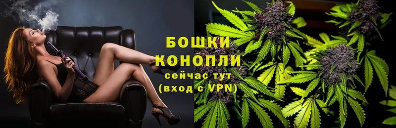 Канабис Ganja  Ершов 